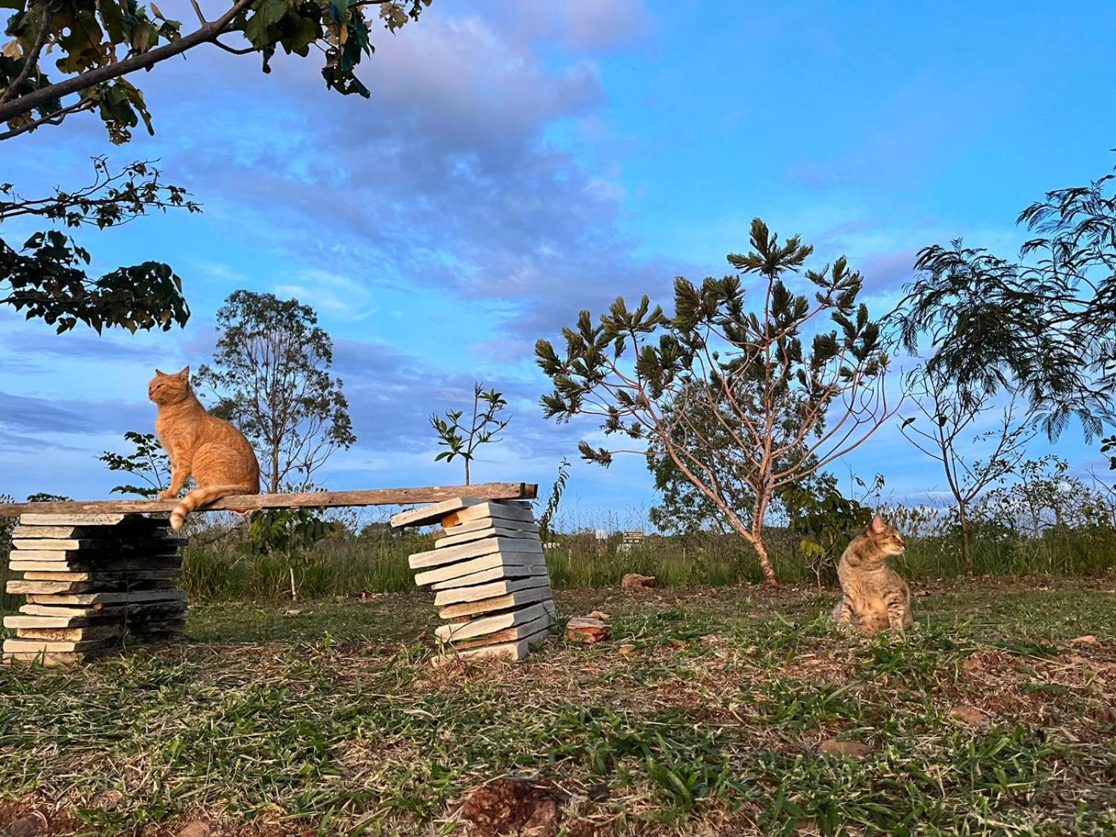 Pousada Refugio Da Serra Pirenópolis Eksteriør bilde