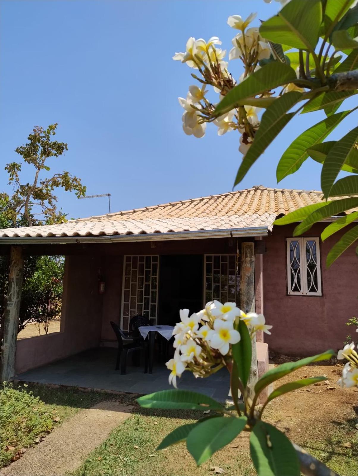 Pousada Refugio Da Serra Pirenópolis Rom bilde